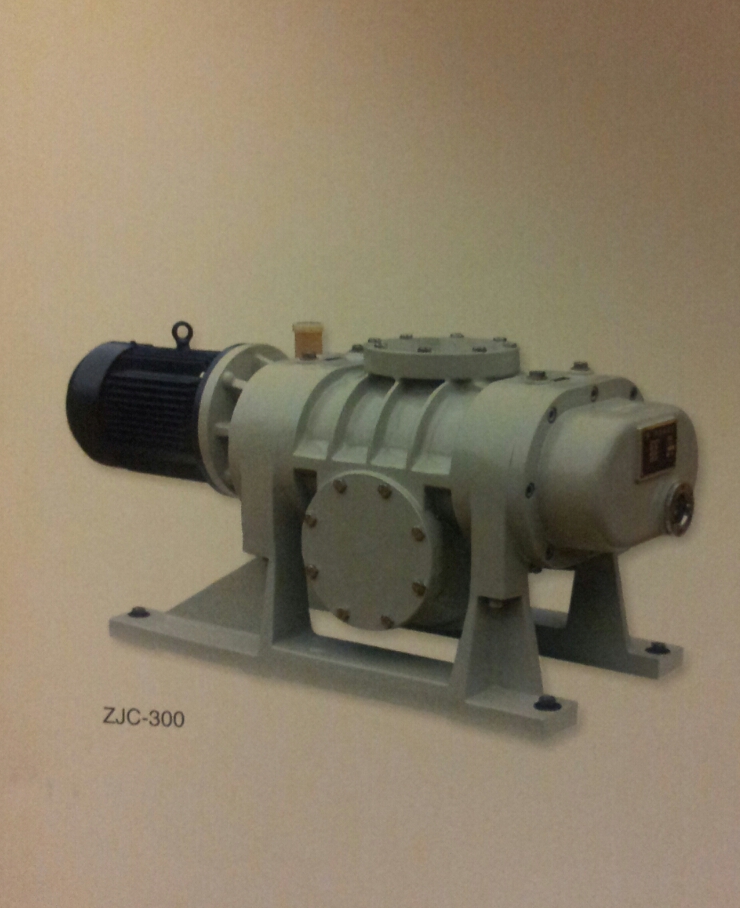 羅茨泵:ZJP系列